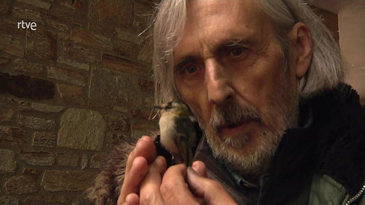 La aventura del Saber - Después de la ballena Manuel Vilariño