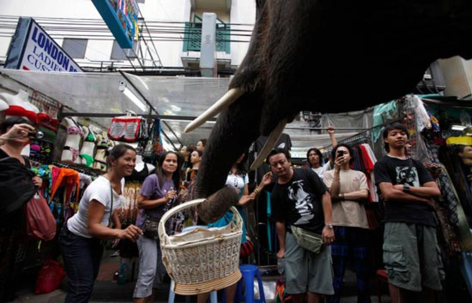 Miles de ciudadanos de todo el mundo ponen en marcha inciativas para ayudar a Haití | Ver