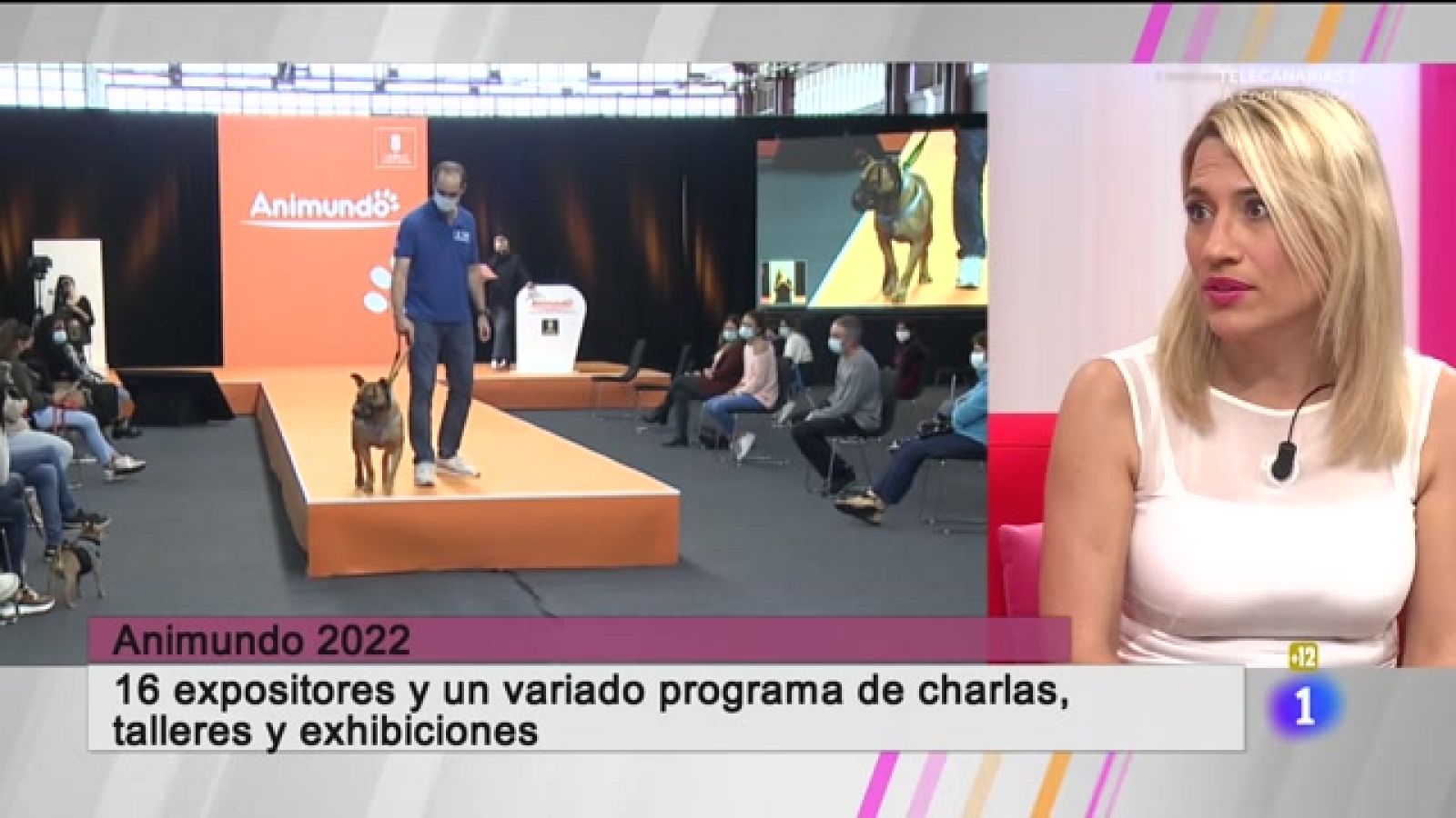 Cerca de ti - 24/11/2022