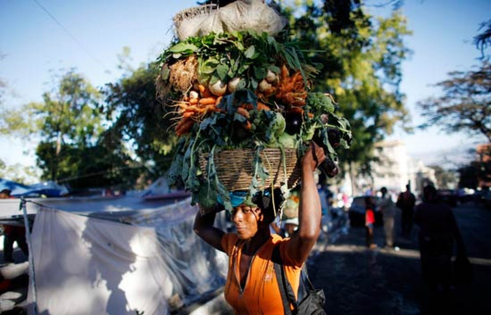 Se empiezan a ver los primeros signos de actividad en Puerto Príncipe | Ver