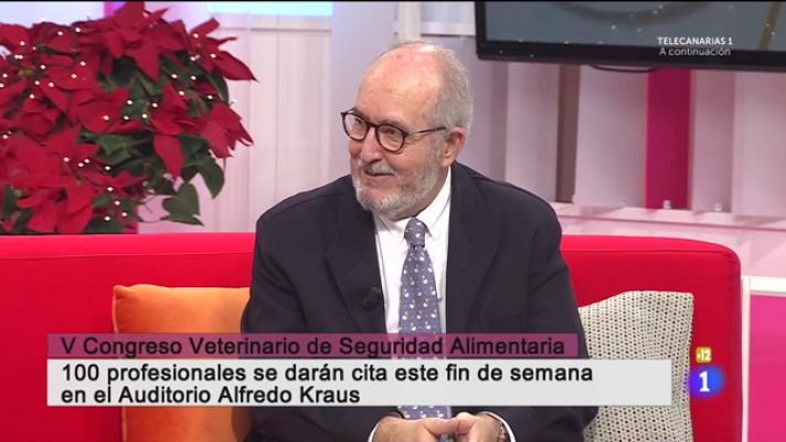 Cerca de ti - Cerca de ti - 25/11/2022