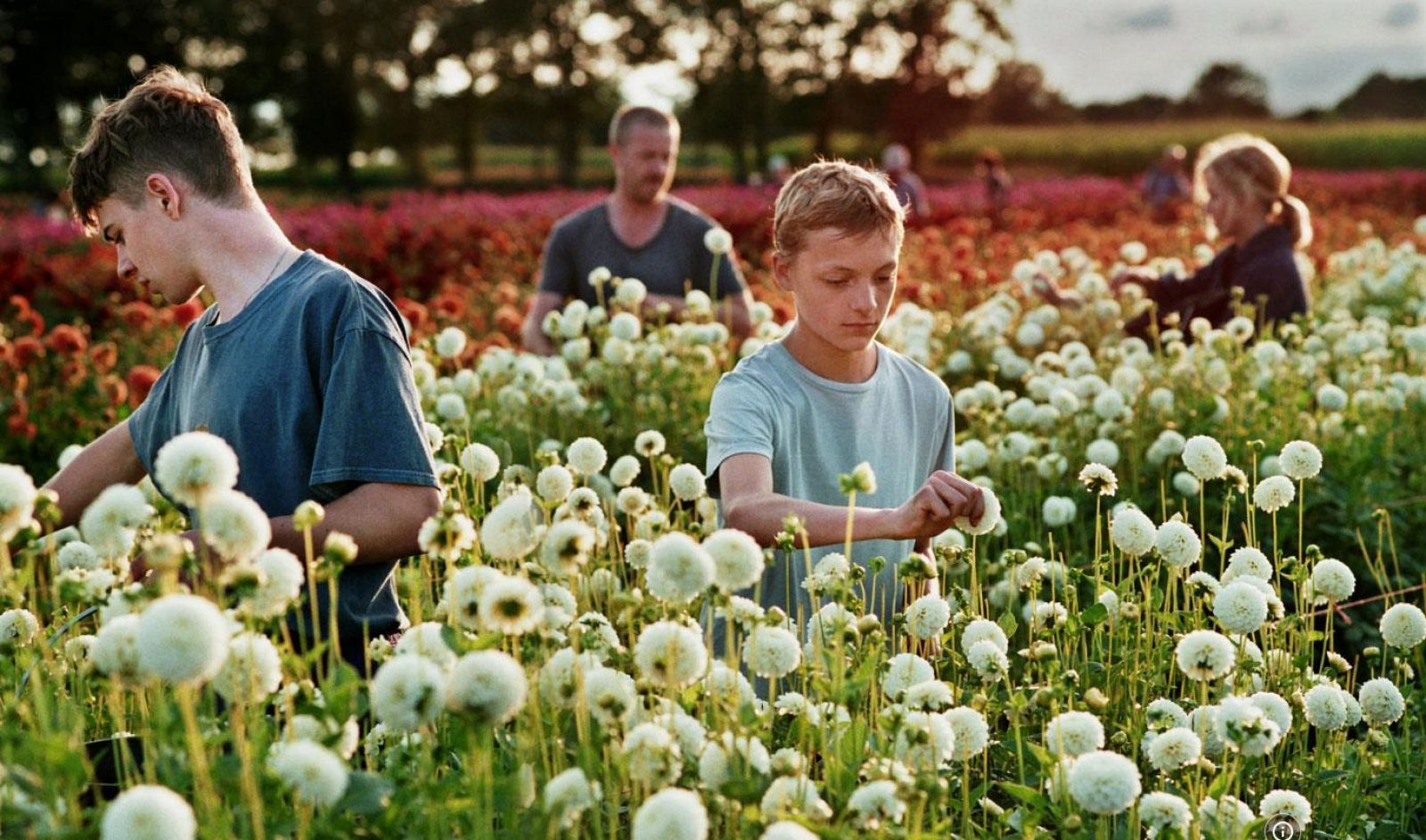 Días de Cine: Close. | Ver
