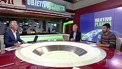 El impacto de los gatos domésticos