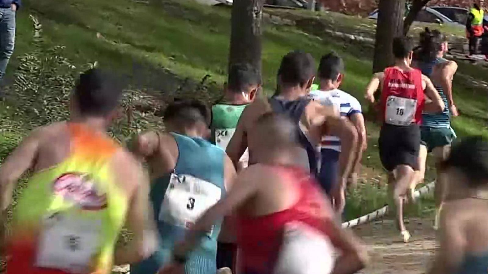 Cross - Cross internacional de Alcobendas: carrera masculina - ver ahora