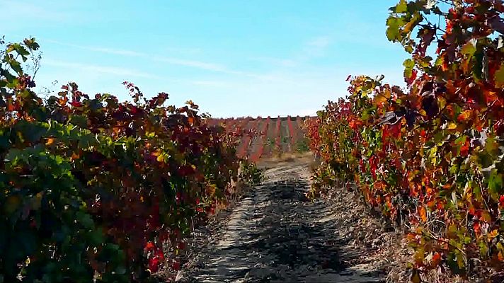 Zoom Tendencias - De monasterios, bodegas y pinchos por la Rioja