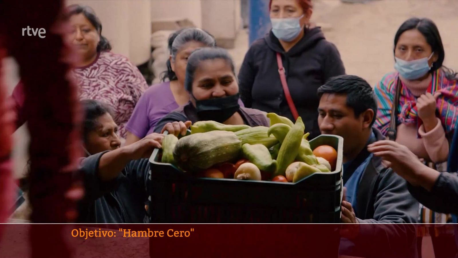 Parlamento - El reportaje - La FAO: objetivo "hambre cero" en el Senado - 26/11/2022