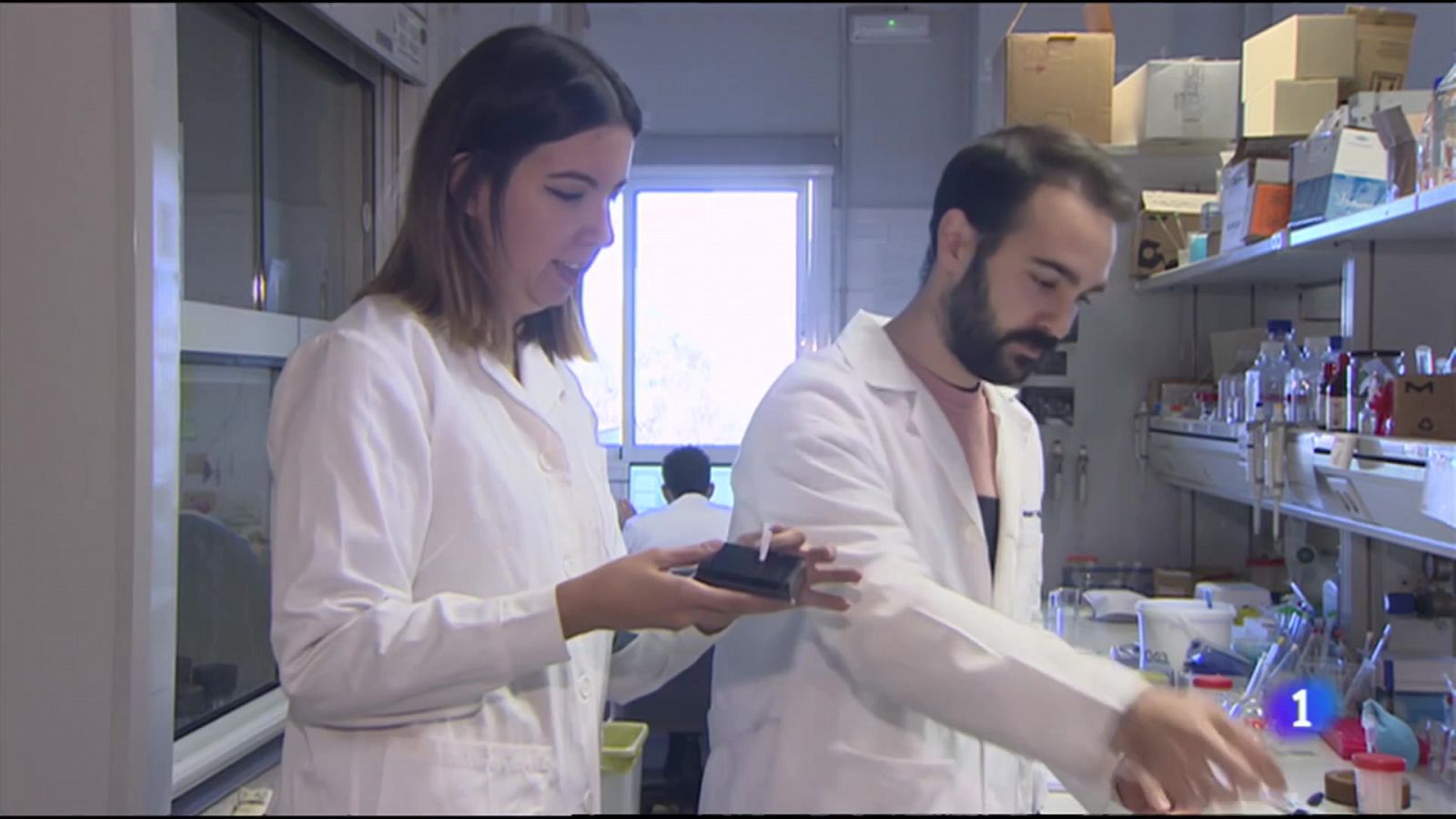 L'Informatiu Comunitat Valenciana 1 - 28/11/22 ver ahora