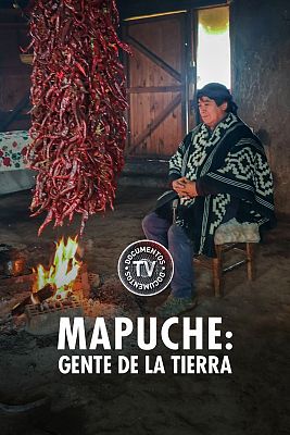 Mapuche, gente de la tierra
