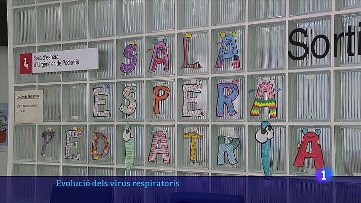 L'Informatiu - Evolució dels virus respiratoris: Pugen bronquiolitis i grip, s'atura la COVID