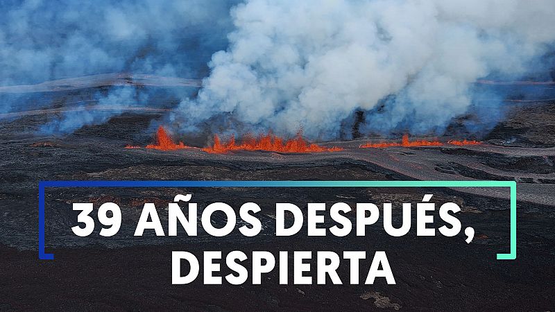 El Mauna Loa, el volcán activo más grande del mundo, entra en erupción en Hawái