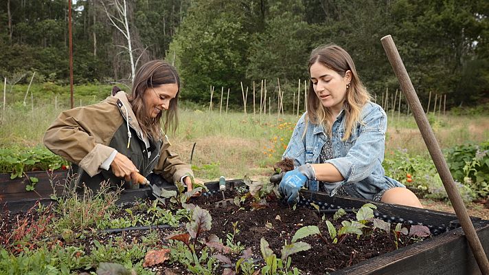 Reduce tu huella - Las delicias del Km 0
