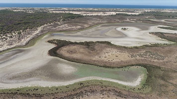 Medidas para la sequía en Doñana