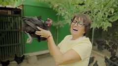 La recepta perduda - El gall negre a Vilafranca del Penedès
