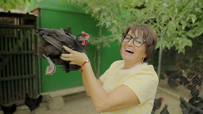 El gall negre  a Vilafranca del Penedès