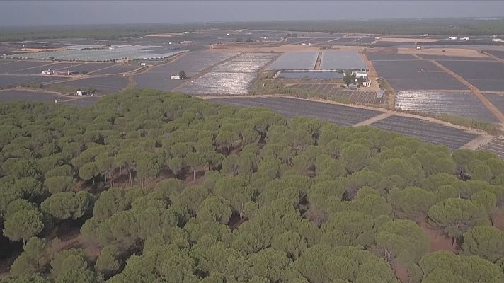 Medidas para recuperar Doñana