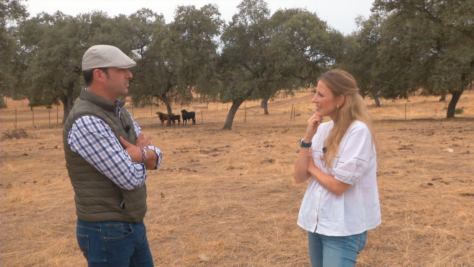 Comando actualidad - Cambio de tercio - Ver ahora