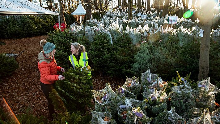 Telediario 1 - Suben las contrataciones en Navidad, pero no tanto como otros años