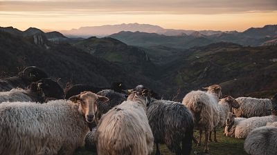 Somos documentales - El reino de los pastores - ver ahora