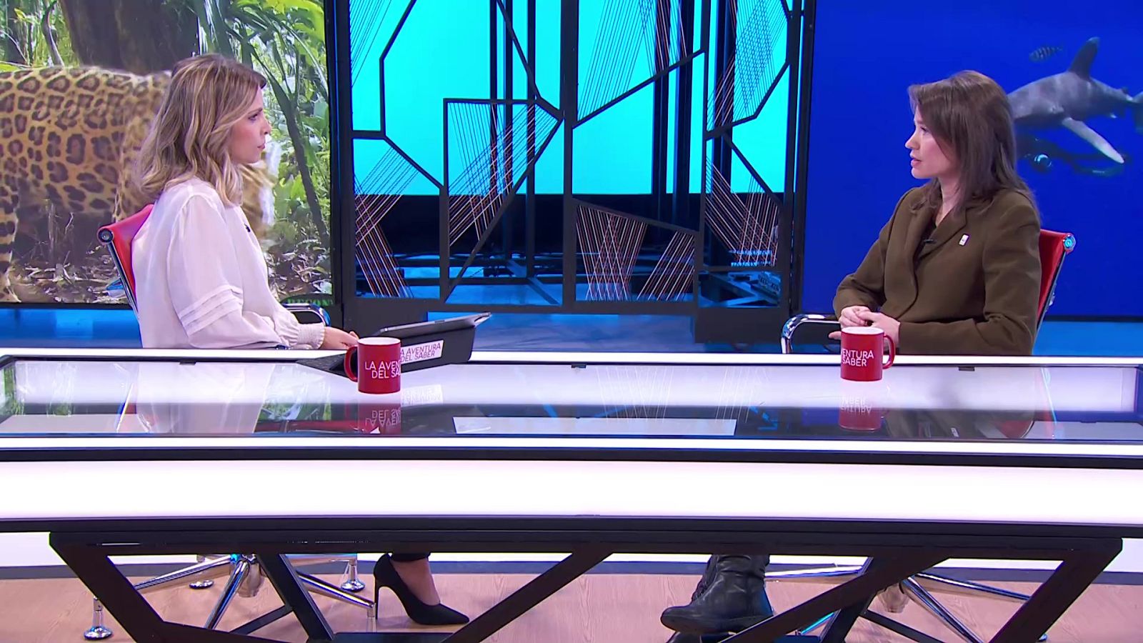 La aventura del saber - 05/12/22 - ver ahora