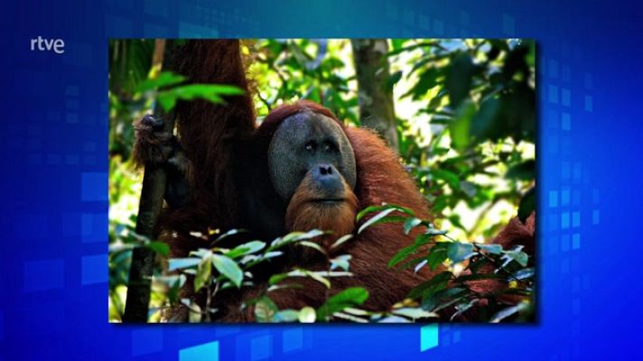 Saber y ganar - Saber y ganar. Edición de fin de semana - 03/12/22