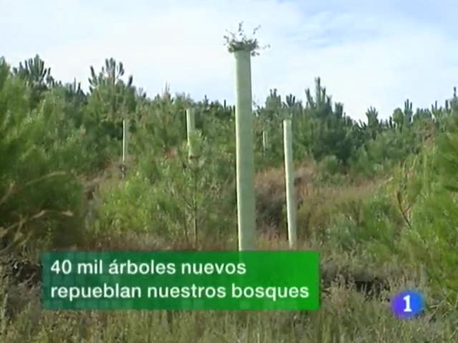 Noticias de Extremadura: Noticias de Extremadura - 22/01/10 | RTVE Play