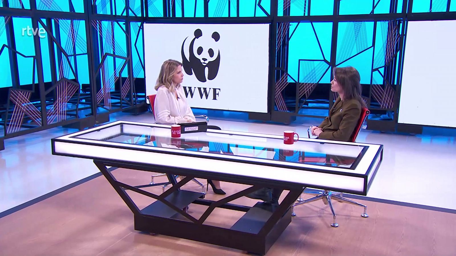 Mara Peterssen y Laura Moreno, de WWF España, comentan las conclusiones de la COP19 de CITES, la cumbre internacional que tiene como objetivo acordar medidas que protejan la biodiversidad.