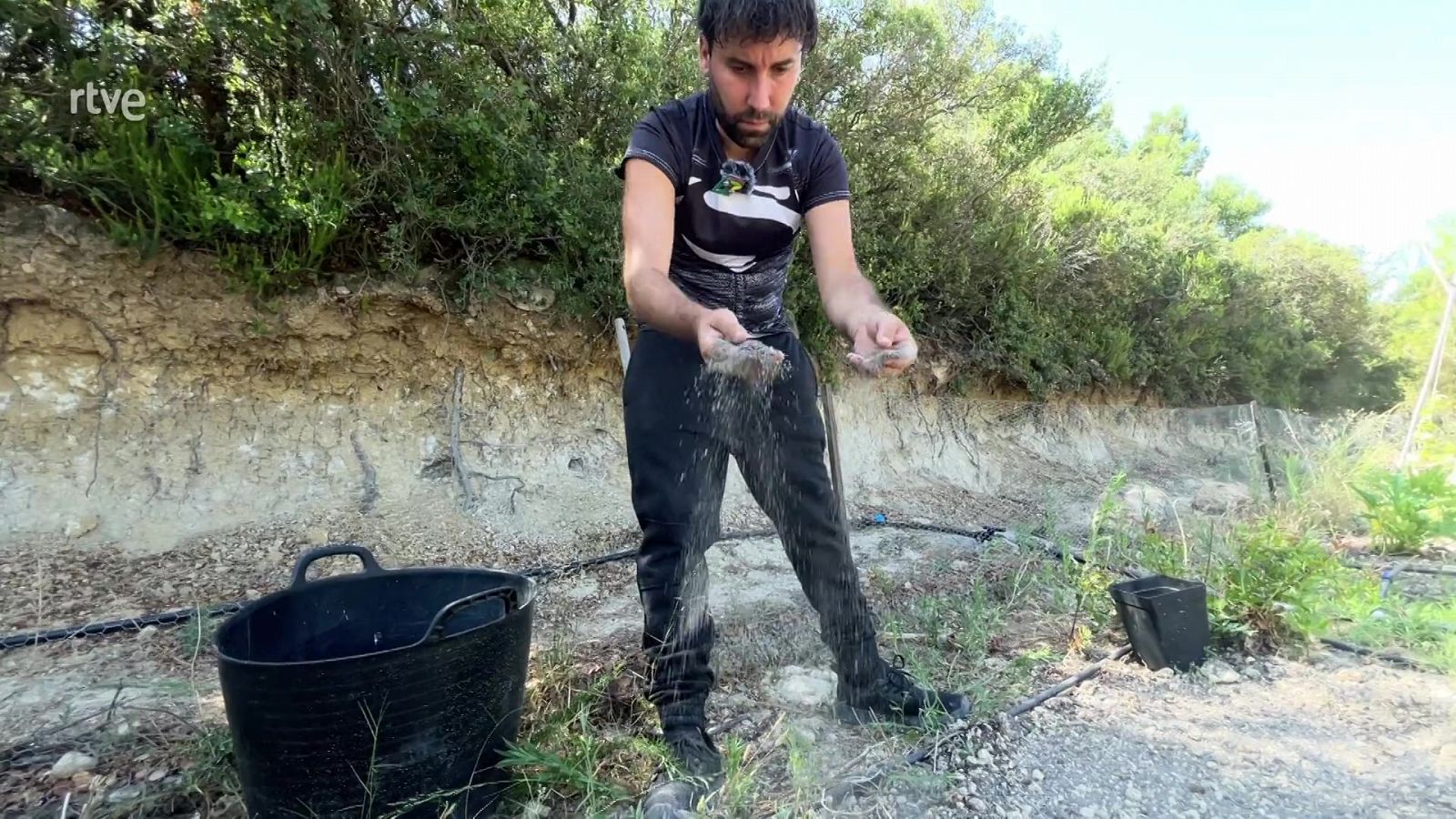 Va de verd - Aquests excrements són or per a la terra - veure ara