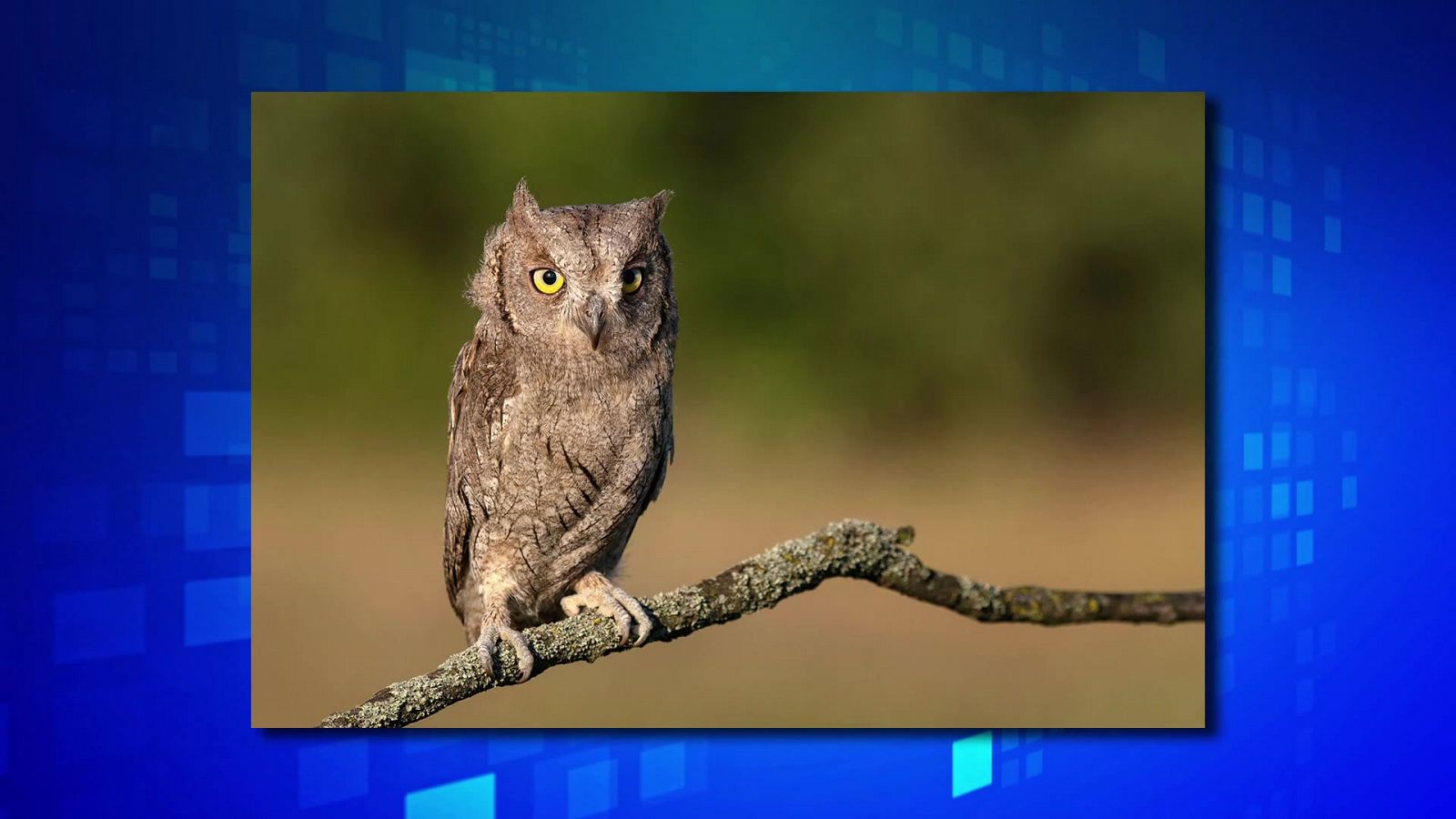 Saber y ganar - 07/12/22 - Saber y ganar | Ver