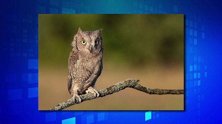 Saber y ganar - Saber y ganar - 07/12/22