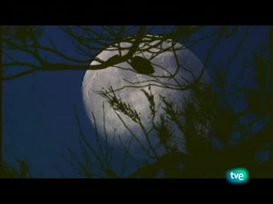 Jara y sedal - Rafael, maestro de pescadores