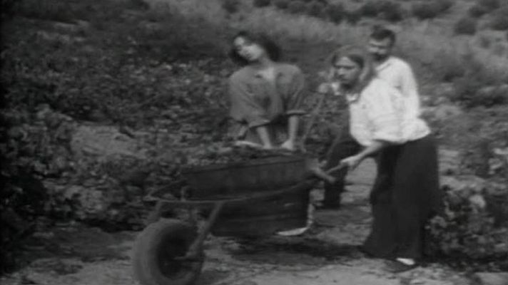 Terra d'escudella - La verema i la taverna