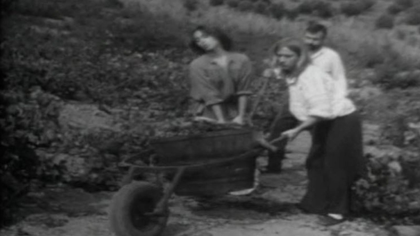 Arxiu TVE Catalunya - Terra d'escudella - La verema i la taverna