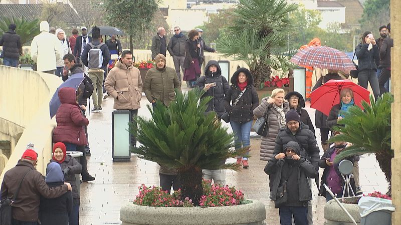 Balance del puente - Ver ahora