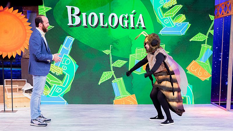 Órbita Laika - Temporada 8 - Programa 10: Abejas - Ver ahora