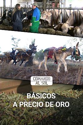 Comando Actualidad - Básicos a precio de oro