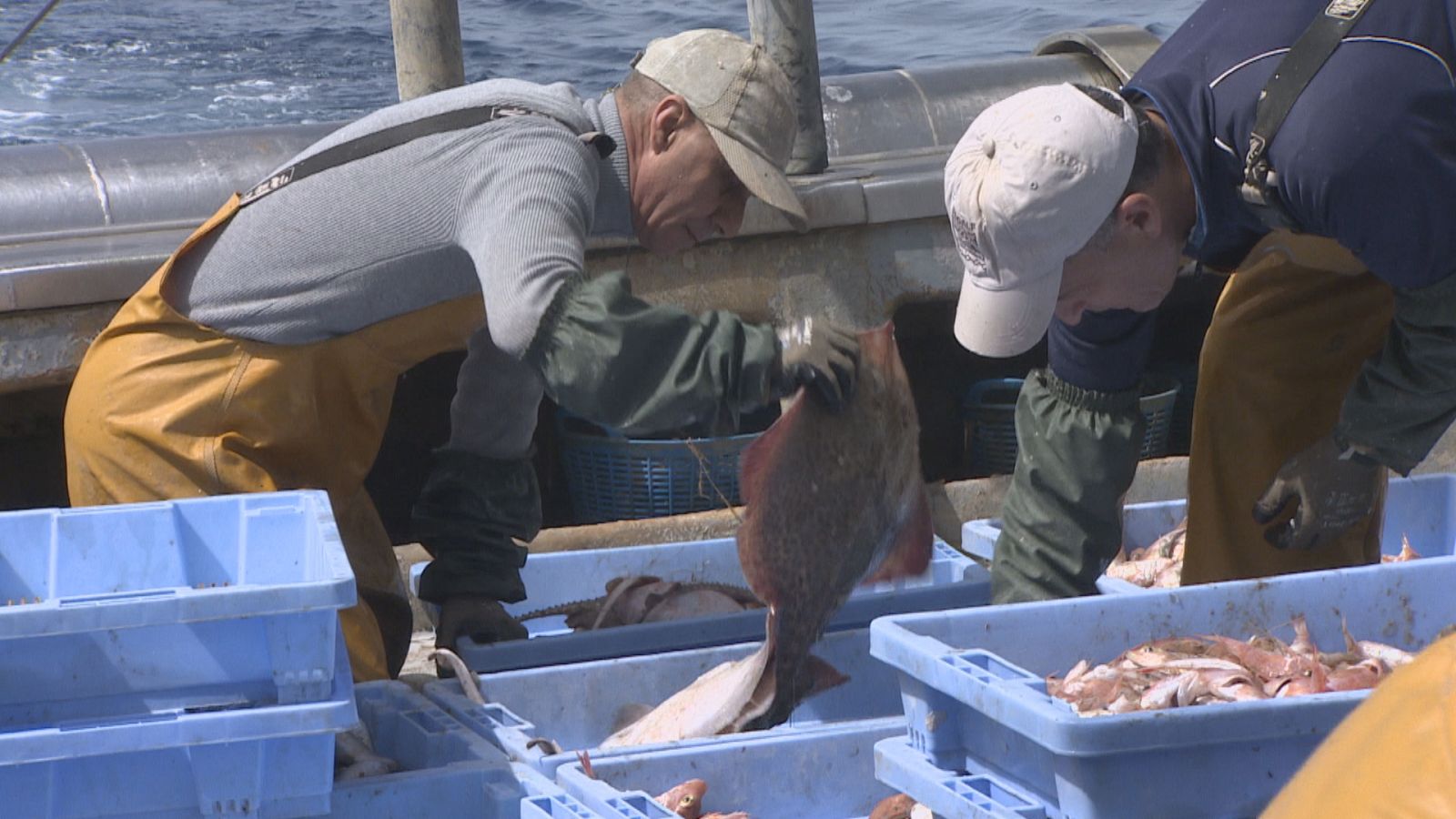 Acuerdo pesquero en la UE - Ver ahora