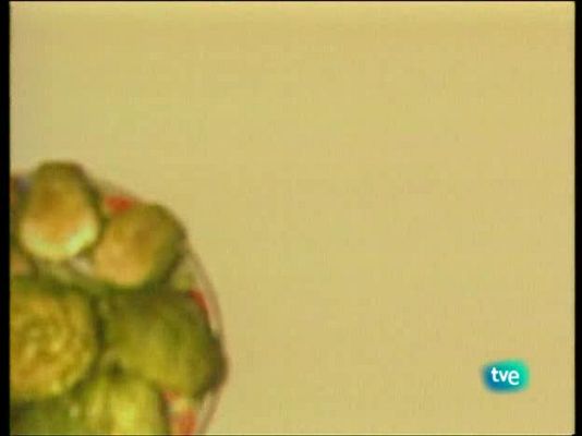 A pedir de boca - Espárragos, alcachofas, pimientos