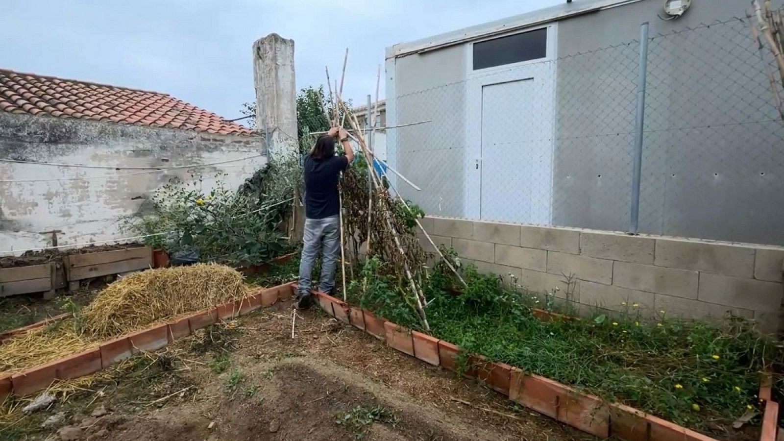 Va de Verd - Preparar l'hort abans de l'hivern