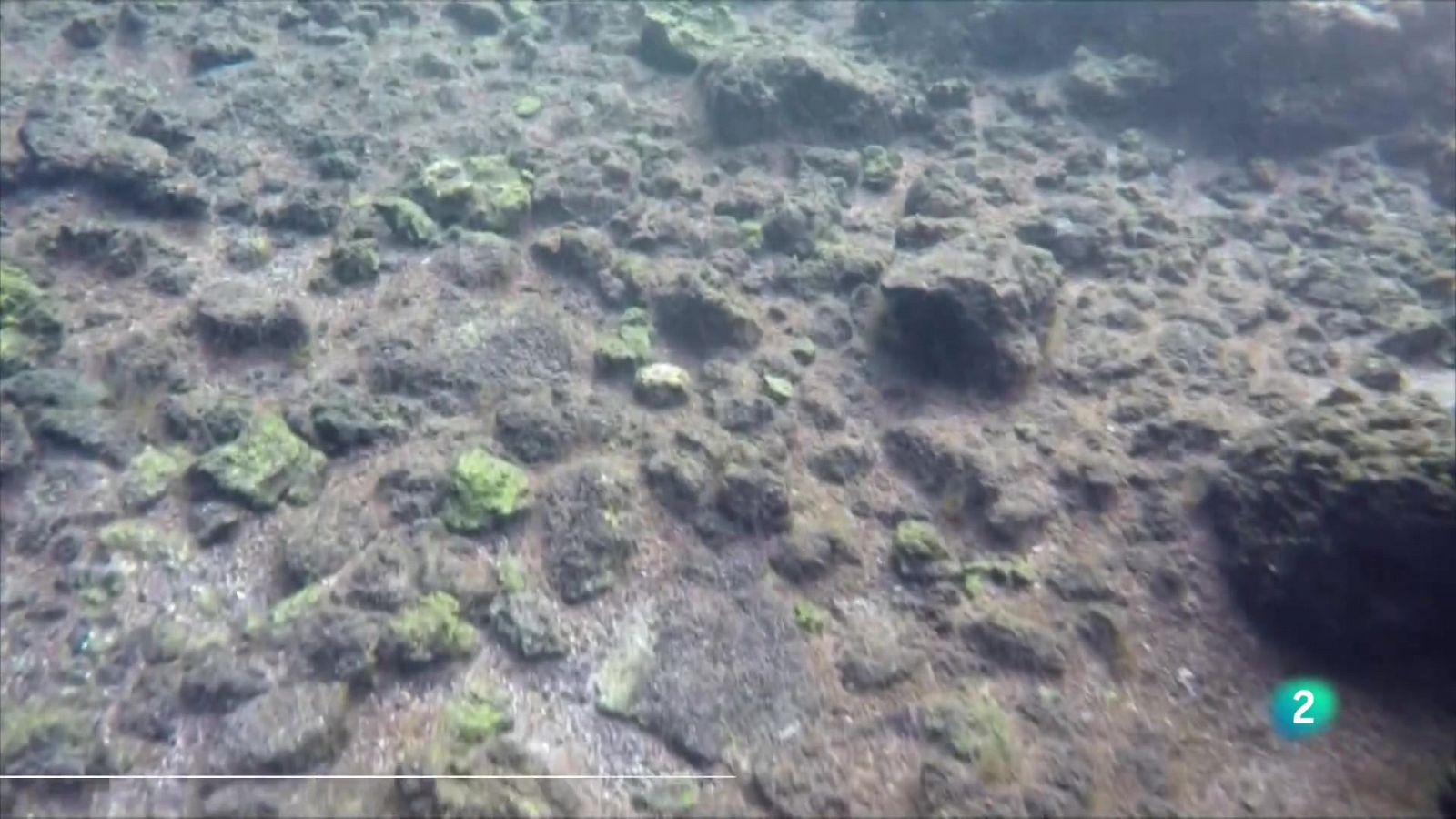 Telecanarias 2  - 13/12/2022