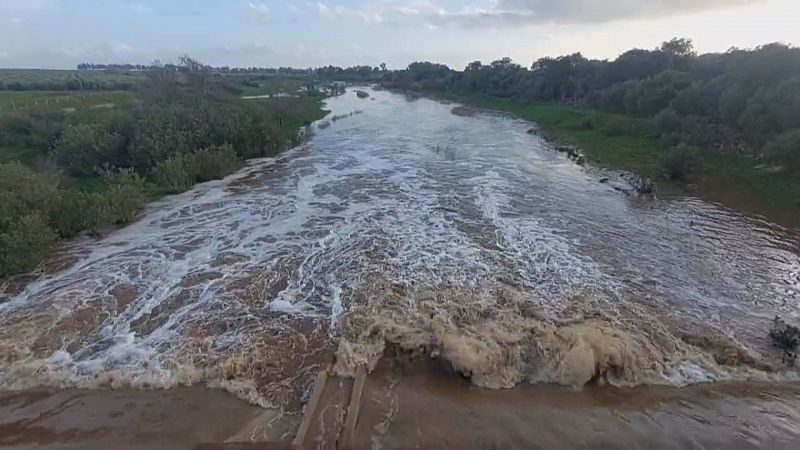 Consejo de Participación de Doñana - Ver ahora