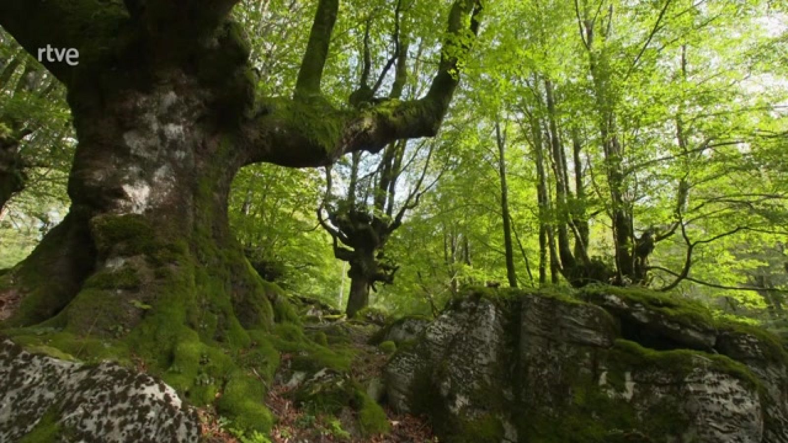 Turismo rural en el mundo - País Vasco - ver ahora