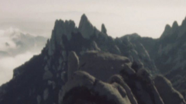 Quitxalla - El Cavall Bernat de Montserrat