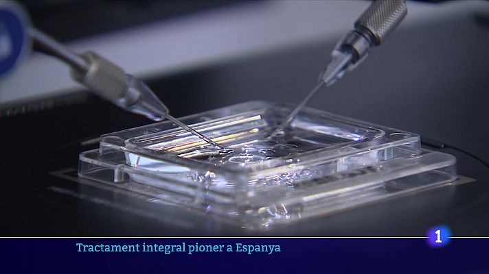 L'Informatiu - Una nena seleccionada genèticament aconsegueix curar una malaltia greu de la seva germana