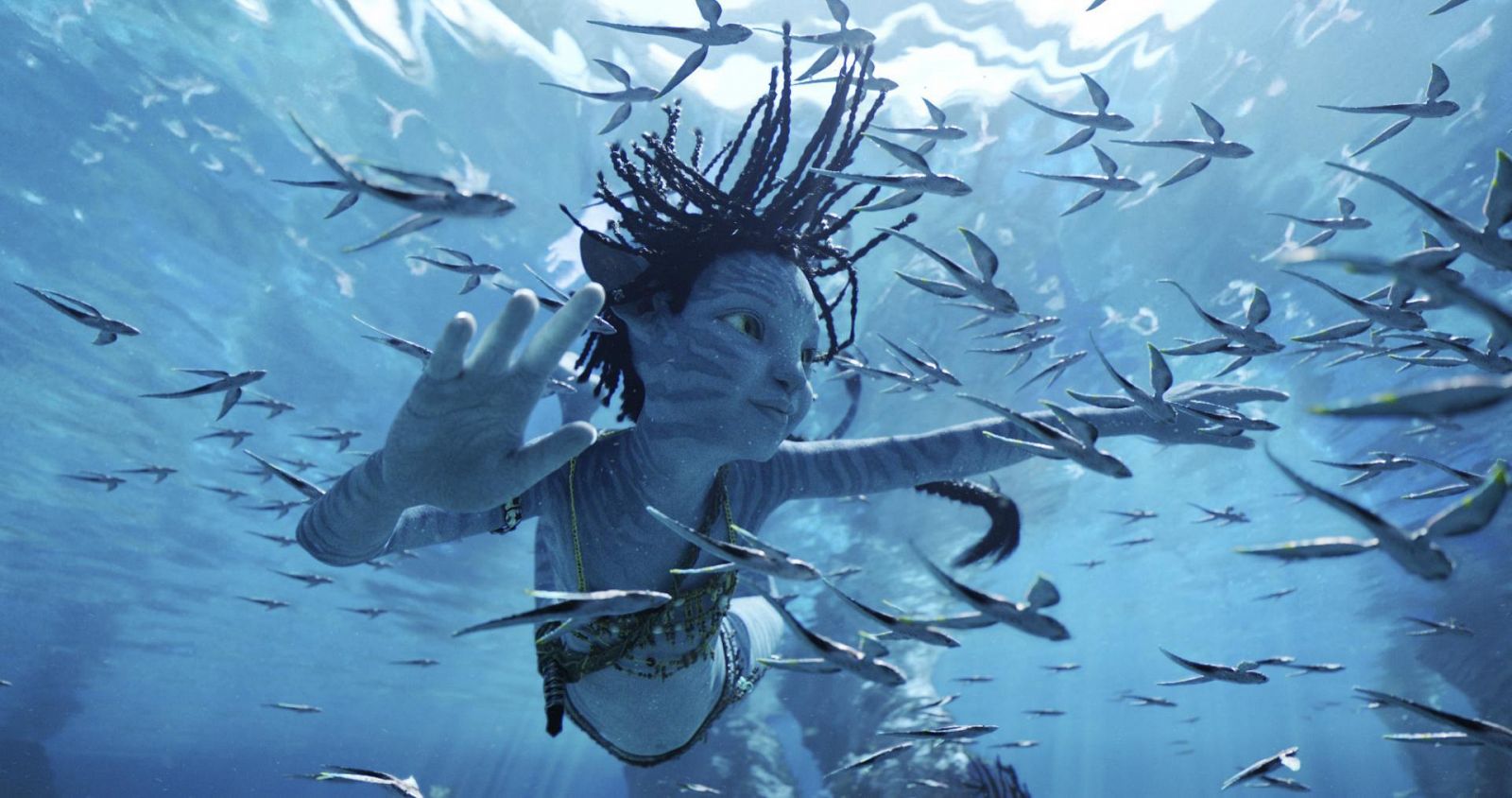 Días de Cine: Avatar: el sentido del agua.