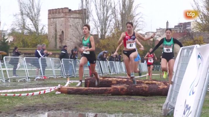 Cross - Aniversario Patrimonio Mundial Alcalá