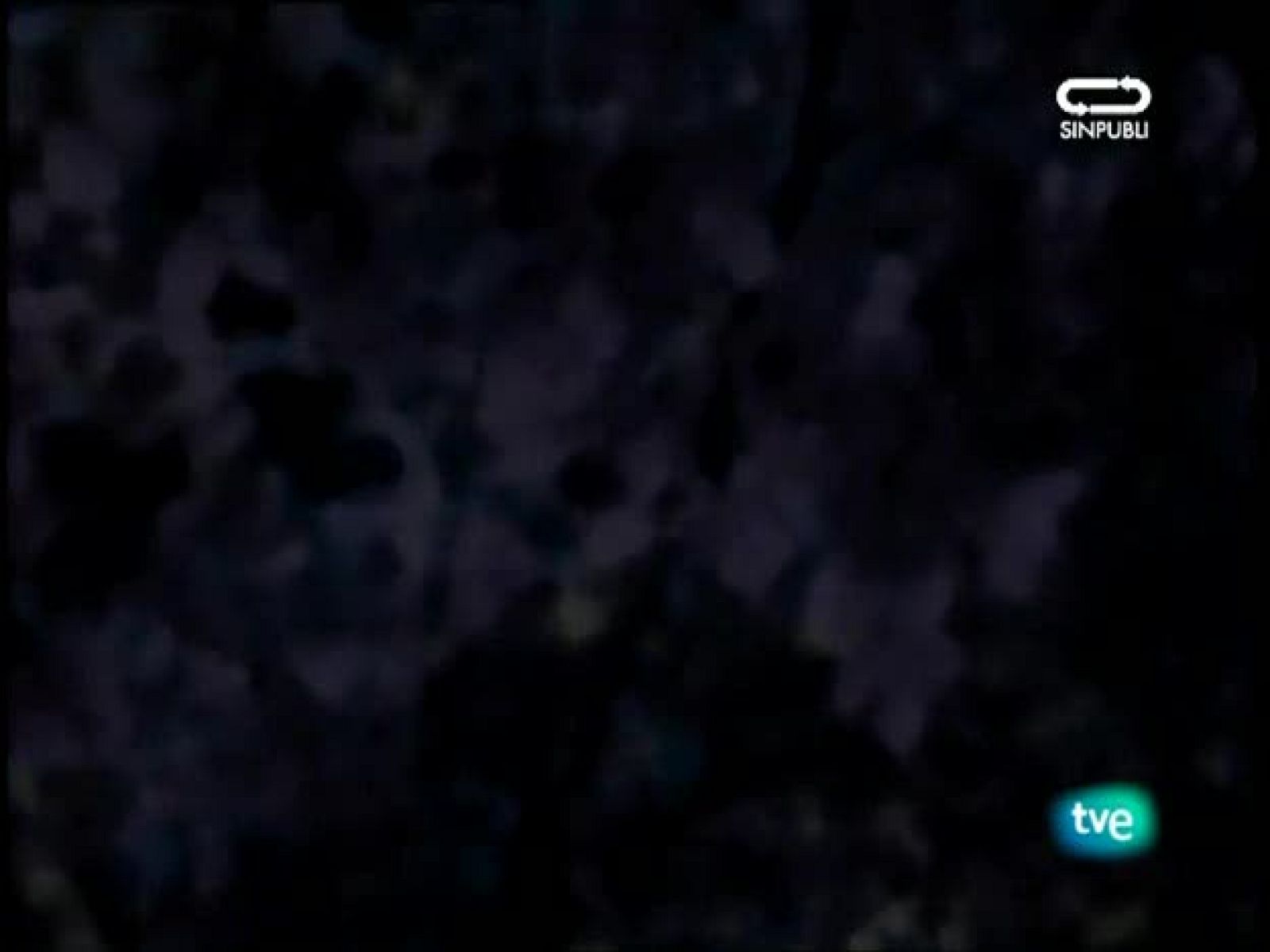 Unidad de naturaleza - Otoño en Ordesa - Unidad de naturaleza | Ver