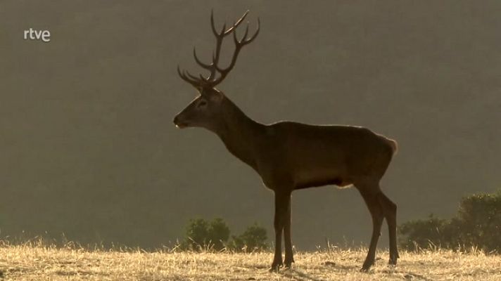 Jara y sedal - Una gestión sostenible