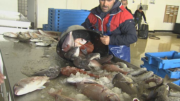 Noticias Andalucía - La pesca pide soluciones