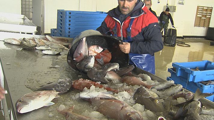 La pesca pide soluciones