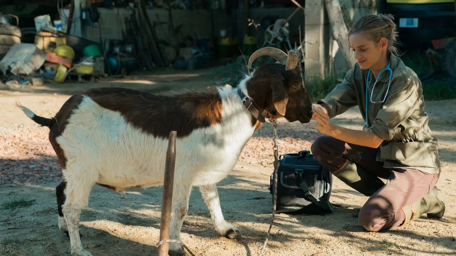 Una veterinaria en la Borgoña - Sesión de tarde